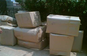  Insurance Services